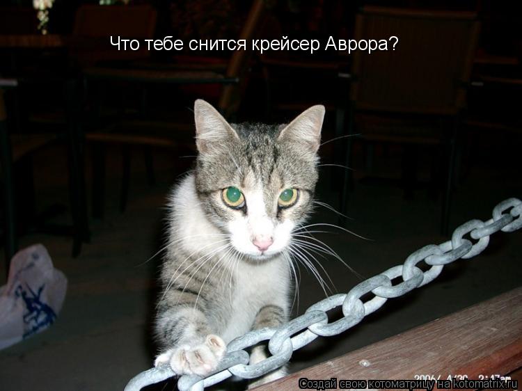 Что тебе снится крейсер Аврора?... Котоматрица: Что тебе снится крейсер Аврора?