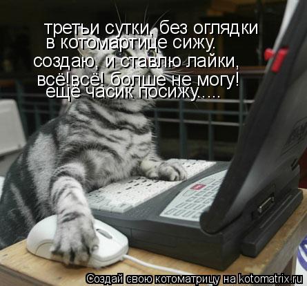 третьи сутки, без оглядки в котомартице сижу. создаю, и ставлю лайки, всё!всё! болше не могу! ещё час... Котоматрица: третьи сутки, без оглядки в котомартице сижу. создаю, и ставлю лайки, всё!всё! болше не могу! ещё часик посижу.....