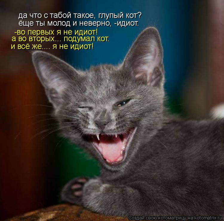 да что с табой такое, глупый кот? ёще ты молод и неверно, -идиот. -во первых я не идиот! а во вторых.... Котоматрица: да что с табой такое, глупый кот? ёще ты молод и неверно, -идиот. -во первых я не идиот! а во вторых... подумал кот. и всё же.... я не идиот!