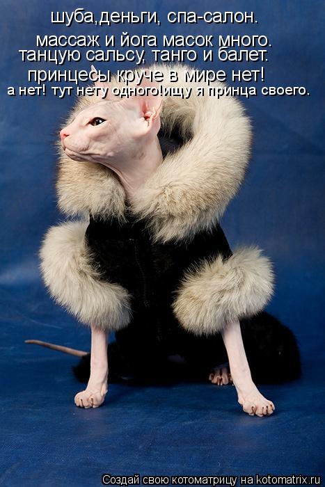 шуба,деньги, спа-салон. массаж и йога масок много. танцую сальсу, танго и балет. принцесы круче в мир... Котоматрица: шуба,деньги, спа-салон. массаж и йога масок много. танцую сальсу, танго и балет. принцесы круче в мире нет! а нет! тут нету одного!ищу я принца