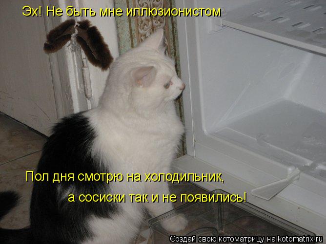 Эх! Не быть мне иллюзионистом Пол дня смотрю на холодильник, а сосиски так и не появились!... Котоматрица: Эх! Не быть мне иллюзионистом Пол дня смотрю на холодильник, а сосиски так и не появились!