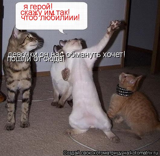 я герой! скажу им так! чтоб любилиии! девочки он нас обмануть хочет! пошли от сюда!... Котоматрица: я герой! скажу им так! чтоб любилиии! девочки он нас обмануть хочет! пошли от сюда!