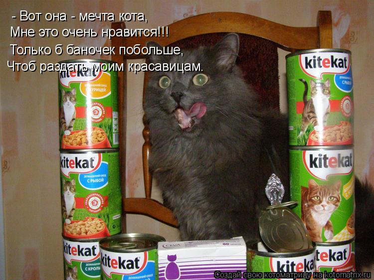 - Вот она - мечта кота, Мне это очень нравится!!! Только б баночек побольше, Чтоб раздать моим красав... Котоматрица: - Вот она - мечта кота, Мне это очень нравится!!! Только б баночек побольше, Чтоб раздать моим красавицам.