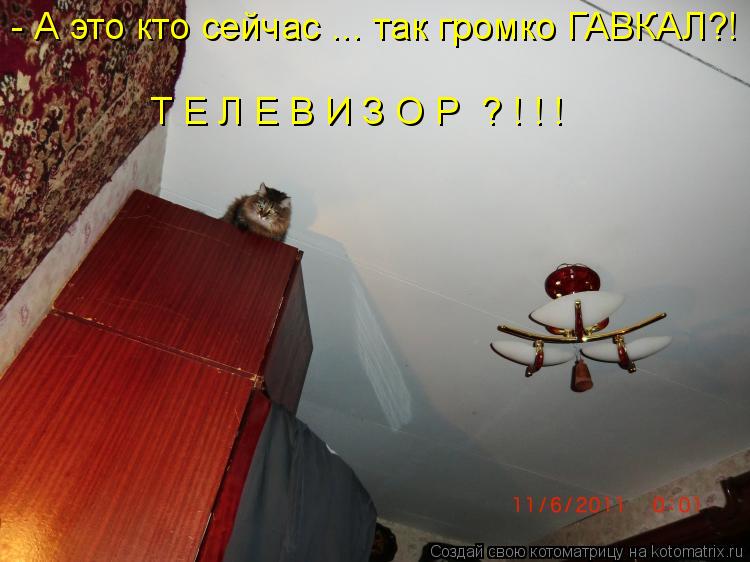 - А это кто сейчас ... так громко ГАВКАЛ?! Т Е Л Е В И З О Р ? ! ! !... Котоматрица: - А это кто сейчас ... так громко ГАВКАЛ?! Т Е Л Е В И З О Р ? ! ! !