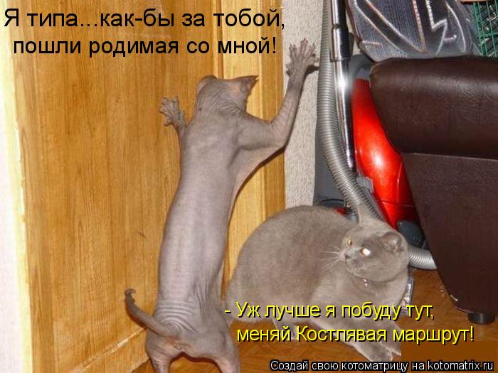 Я типа...как-бы за тобой, пошли родимая со мной! меняй Костлявая маршрут! - Уж лучше я побуду тут,... Котоматрица: Я типа...как-бы за тобой, пошли родимая со мной! меняй Костлявая маршрут! - Уж лучше я побуду тут,