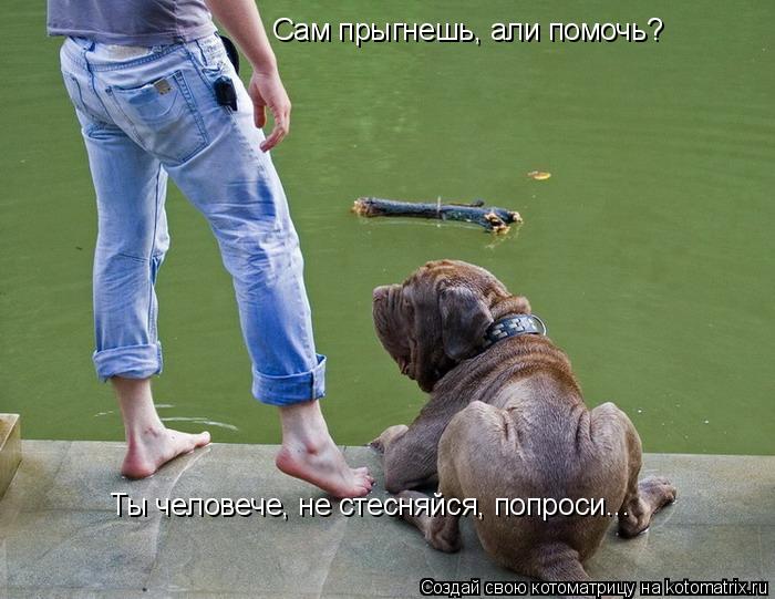 Сам прыгнешь, али помочь? Ты человече, не стесняйся, попроси...... Котоматрица: Сам прыгнешь, али помочь? Ты человече, не стесняйся, попроси...