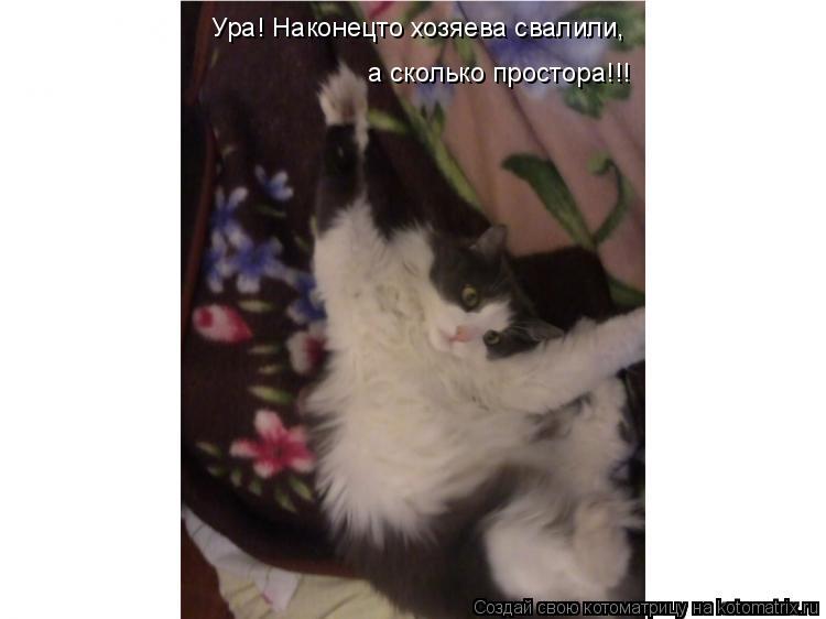 Ура! Наконецто хозяева свалили, а сколько простора!!!... Котоматрица: Ура! Наконецто хозяева свалили, а сколько простора!!!