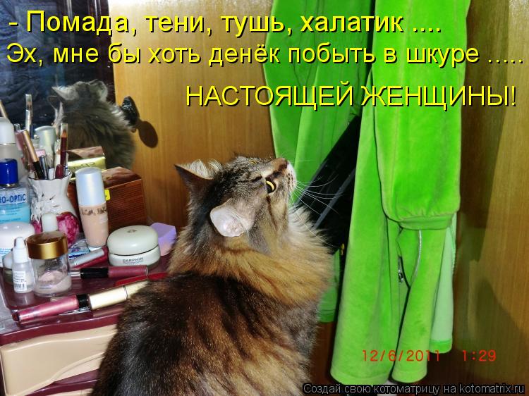 - Помада, тени, тушь, халатик .... Эх, мне бы хоть денёк побыть в шкуре ..... НАСТОЯЩЕЙ ЖЕНЩИНЫ!... Котоматрица: - Помада, тени, тушь, халатик .... Эх, мне бы хоть денёк побыть в шкуре ..... НАСТОЯЩЕЙ ЖЕНЩИНЫ!