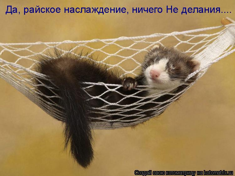 Котоматрица: Да, райское наслаждение, ничего Не делания....