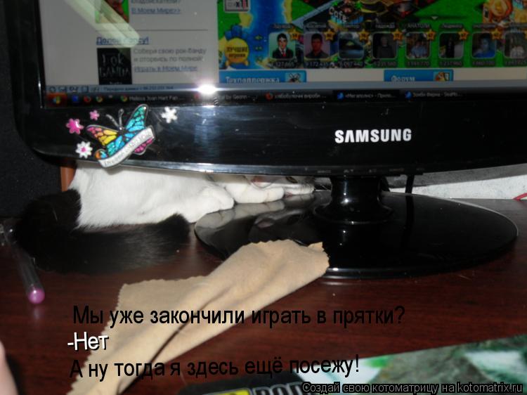 Мы уже закончили играть в прятки? -Нет А ну тогда я здесь ещё посежу!... Котоматрица: Мы уже закончили играть в прятки? -Нет А ну тогда я здесь ещё посежу!