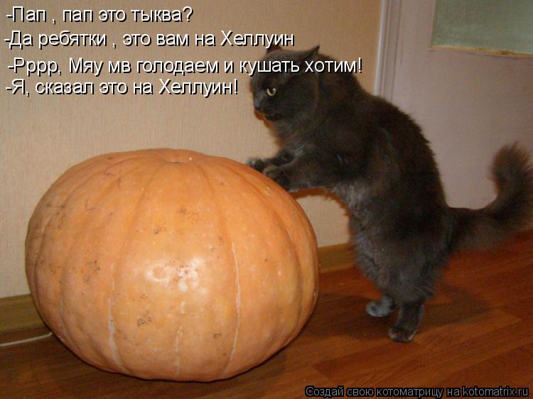 -Пап , пап это тыква? -Да ребятки , это вам на Хеллуин -Рррр, Мяу мв голодаем и кушать хотим! -Я, ск... Котоматрица: -Пап , пап это тыква? -Да ребятки , это вам на Хеллуин -Рррр, Мяу мв голодаем и кушать хотим! -Я, сказал это на Хеллуин! -Дорогой, тут по телевизор