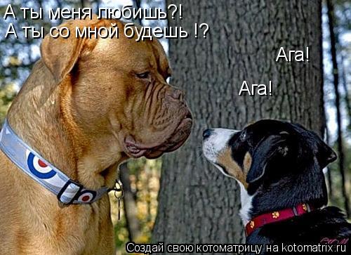 А ты меня любишь?! Ага! А ты со мной будешь !? Ага!... Котоматрица: А ты меня любишь?! Ага! А ты со мной будешь !? Ага!