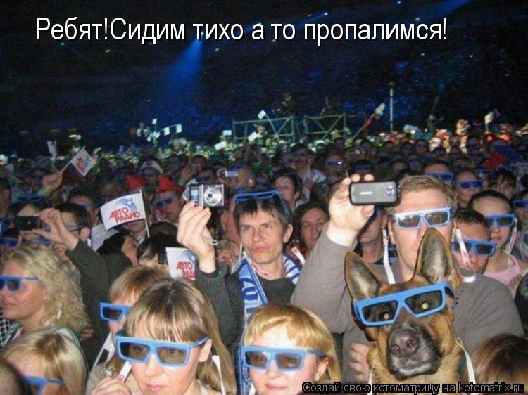 Котоматрица: Ребят!Сидим тихо а то пропалимся!
