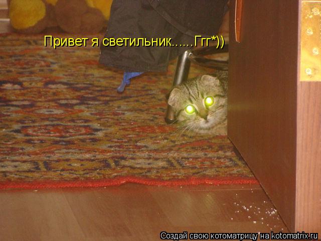 Котоматрица: Привет я светильник......Ггг*))