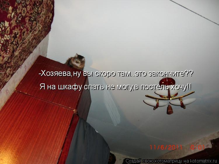 Котоматрица: -Хозяева,ну вы скоро там..это закончите?? Я на шкафу спать не могу,в постель хочу!!
