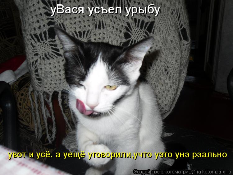 Котоматрица: уВася усъел урыбу  увот и усё. а уещё уговорили,учто уэто унэ рэально