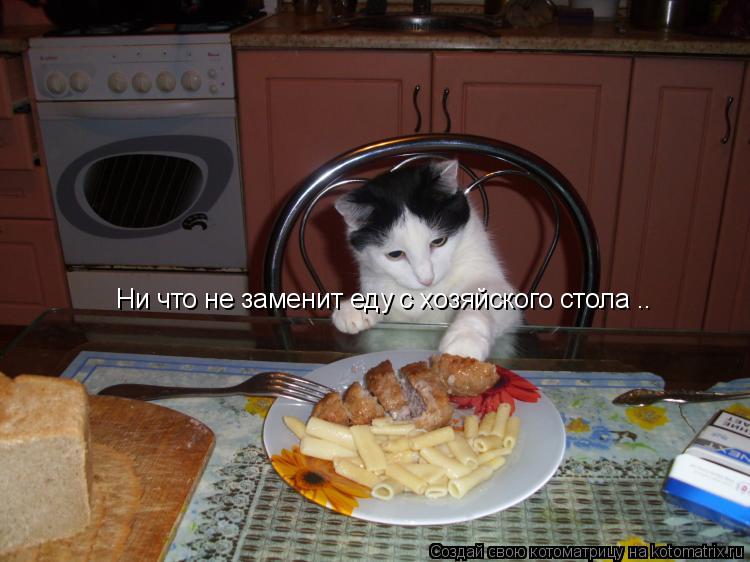 Котоматрица: Ни что не заменит еду с хозяйского стола ..