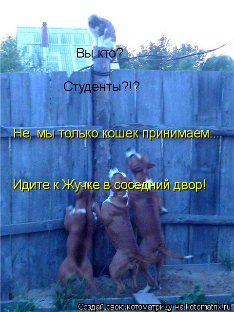 Котоматрица: Вы кто? Студенты?!? Не, мы только кошек принимаем... Идите к Жучке в соседний двор!