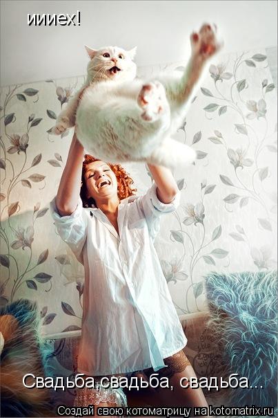Котоматрица: иииех! Свадьба,свадьба, свадьба...