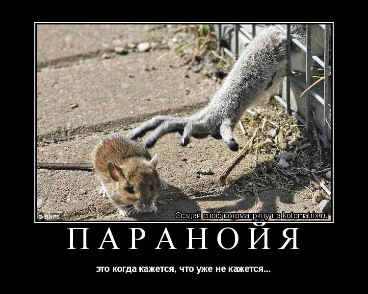 ПАРАНОЙЯ это когда кажется, что уже не кажется...... Котоматрица: ПАРАНОЙЯ это когда кажется, что уже не кажется...
