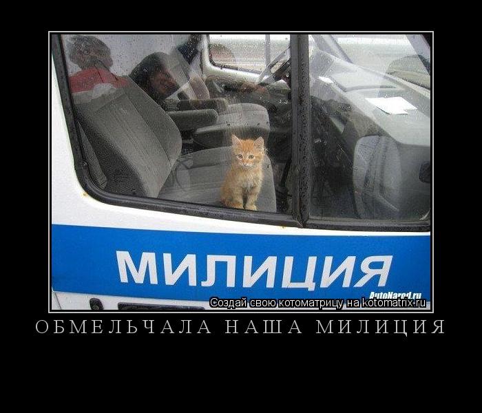 обмельчала наша милиция ... Котоматрица: обмельчала наша милиция