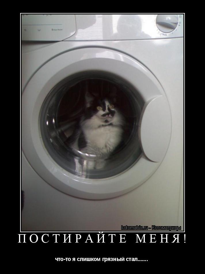 постирайте меня! что-то я слишком грязный стал....... ... Котоматрица: постирайте меня! что-то я слишком грязный стал.......