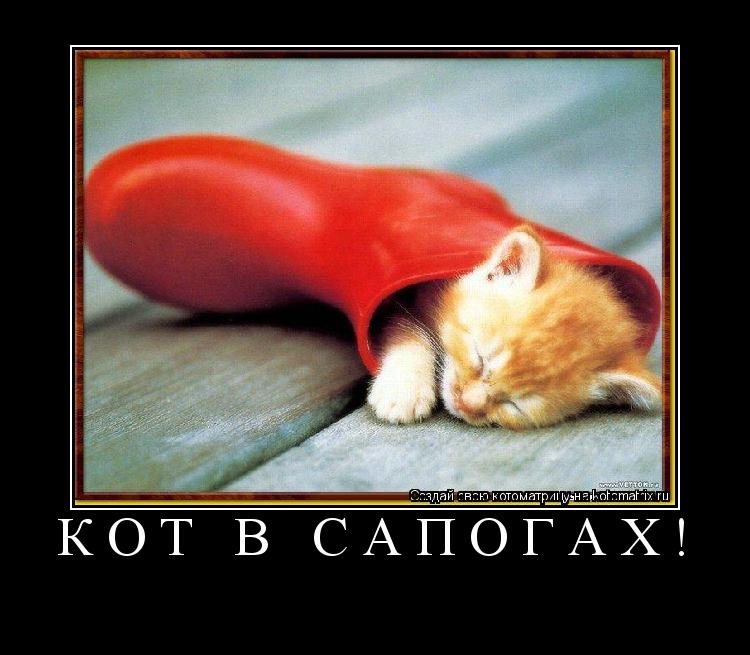 кот в сапогах! ... Котоматрица: кот в сапогах!