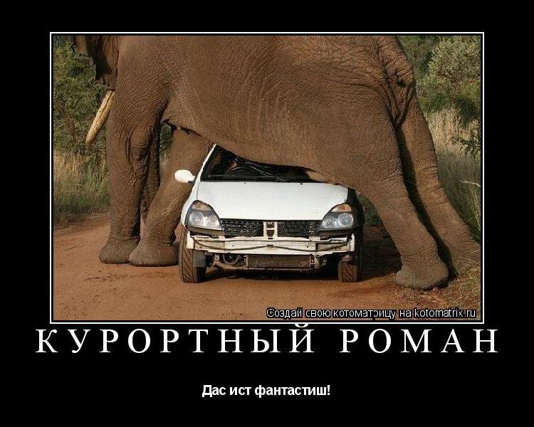 курортный роман Дас ист фантастиш!... Котоматрица: курортный роман Дас ист фантастиш!