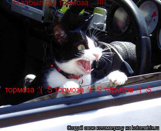 Котоматрица: Я забыл где тормоза....!!!! тормоза :'( :S тормоза :'( :S тормоза :'( :S