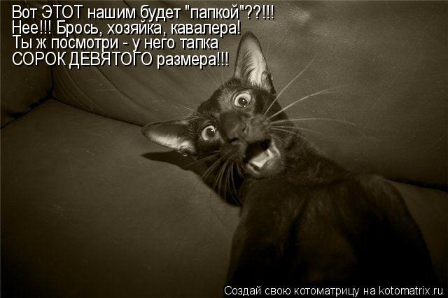 Вот ЭТОТ нашим будет "папкой"??!!! Нее!!! Брось, хозяйка, кавалера! Ты ж посмотри - у него тапка СОРО... Котоматрица: Вот ЭТОТ нашим будет "папкой"??!!! Нее!!! Брось, хозяйка, кавалера! Ты ж посмотри - у него тапка СОРОК ДЕВЯТОГО размера!!!