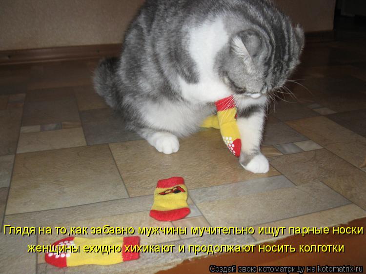 Котоматрица: Глядя на то,как забавно мужчины мучительно ищут парные носки  женщины ехидно хихикают и продолжают носить колготки