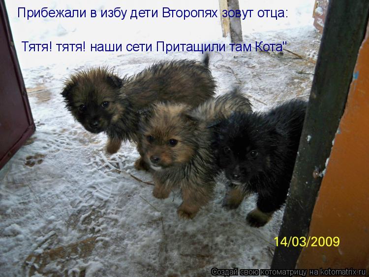 Котоматрица: Прибежали в избу дети Второпях зовут отца:  «Тятя! тятя! наши сети Притащили там Кота"