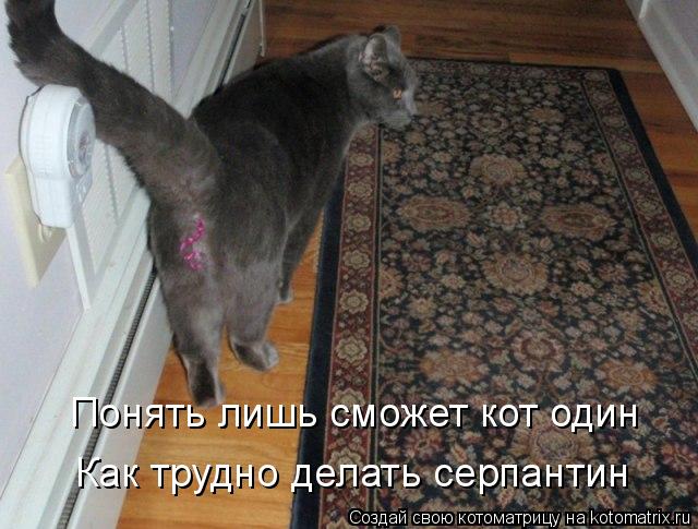 Котоматрица: Понять лишь сможет кот один Как трудно делать серпантин