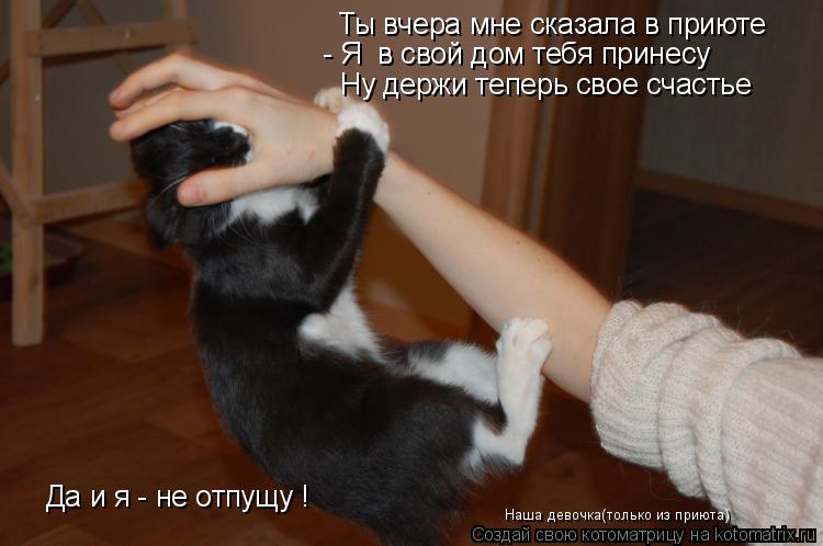 Котоматрица: Ты вчера мне сказала в приюте - Я  в свой дом тебя принесу Ну держи теперь свое счастье Да и я - не отпущу ! Наша девочка(только из приюта)