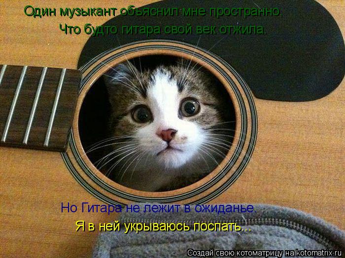 Котоматрица: Один музыкант объяснил мне пространно, Что будто гитара свой век отжила. Но Гитара не лежит в ожиданье. Я в ней укрываюсь поспать...