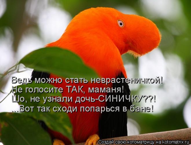 Ведь можно стать неврастеничкой! Не голосите ТАК, маманя! Шо, не узнали дочь-СИНИЧКУ??! ...Вот так сх... Котоматрица: Ведь можно стать неврастеничкой! Не голосите ТАК, маманя! Шо, не узнали дочь-СИНИЧКУ??! ...Вот так сходи попарься в бане!