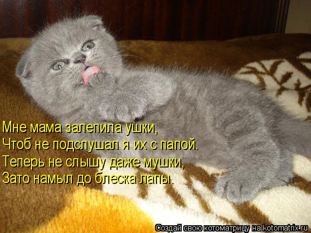 Котоматрица: Мне мама залепила ушки, Чтоб не подслушал я их с папой. Теперь не слышу даже мушки, Зато намыл до блеска лапы.