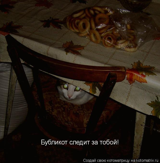 Котоматрица: Бубликот следит за тобой!
