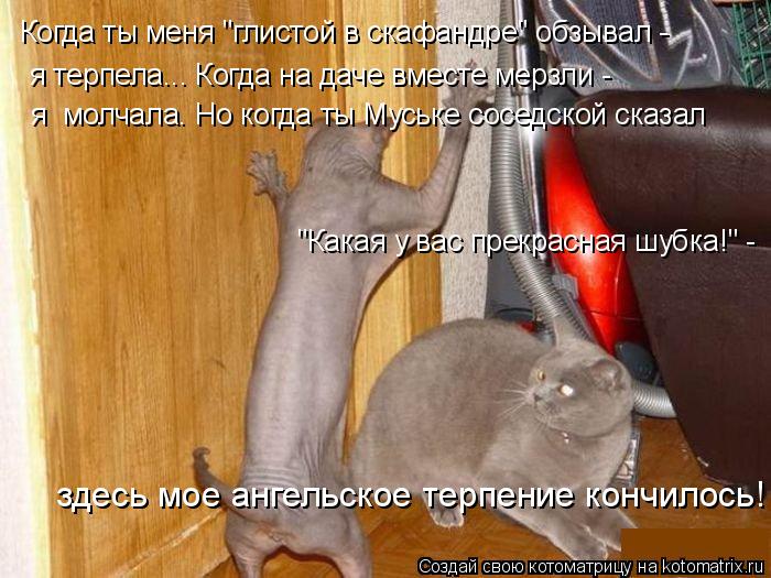 Котоматрица: Когда ты меня "глистой в скафандре" обзывал -  я терпела... Когда на даче вместе мерзли -  я  молчала. Но когда ты Муське соседской сказал "Какая 