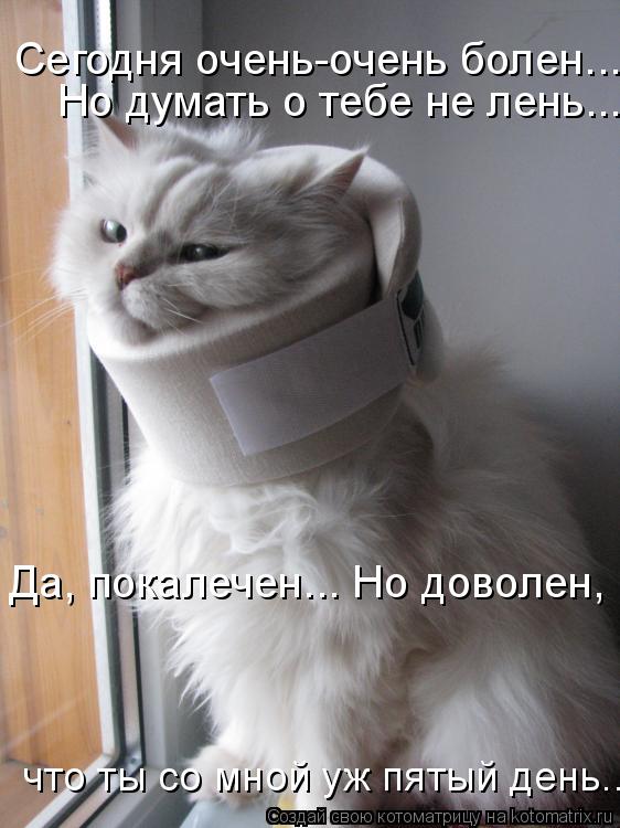 Котоматрица: Но думать о тебе не лень... Сегодня очень-очень болен... Да, покалечен... Но доволен,  что ты со мной уж пятый день...