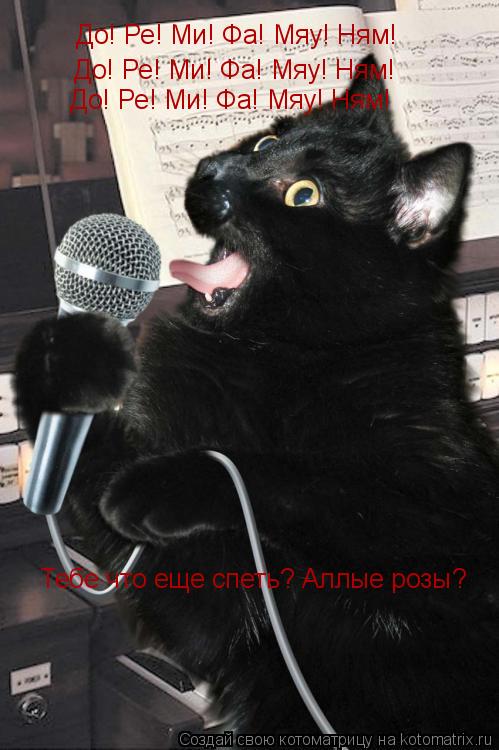 Котоматрица: До! Ре! Ми! Фа! Мяу! Ням! До! Ре! Ми! Фа! Мяу! Ням! До! Ре! Ми! Фа! Мяу! Ням! Тебе что еще спеть? Аллые розы?
