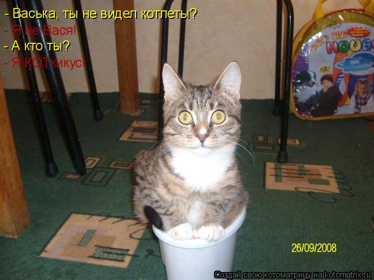 Котоматрица: - Васька, ты не видел котлеты? - Я не Вася! - А кто ты? - Я КОТкикус!