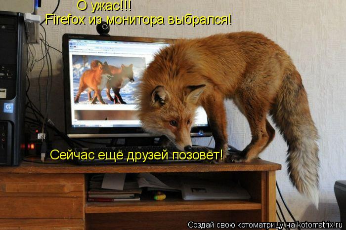 Котоматрица: О ужас!!! Firefox из монитора выбрался! Сейчас ещё друзей позовёт!
