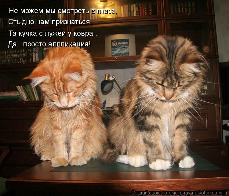 Котоматрица: Не можем мы смотреть в глаза,  Стыдно нам признаться, Та кучка с лужей у ковра…. Да…. просто аппликация!