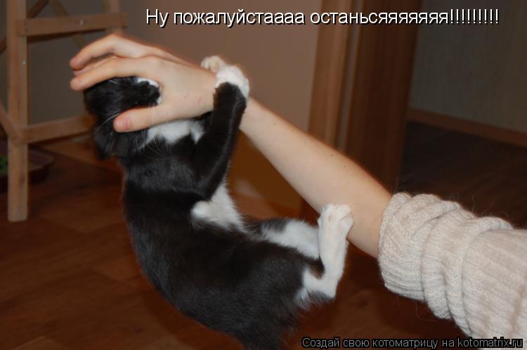 Котоматрица: Ну пожалуйстаааа останьсяяяяяяя!!!!!!!!!