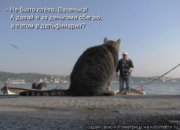 Котоматрица: - Не было клёва, Васенька! А давай я за деньгами сбегаю, а потом в дельфинарий?