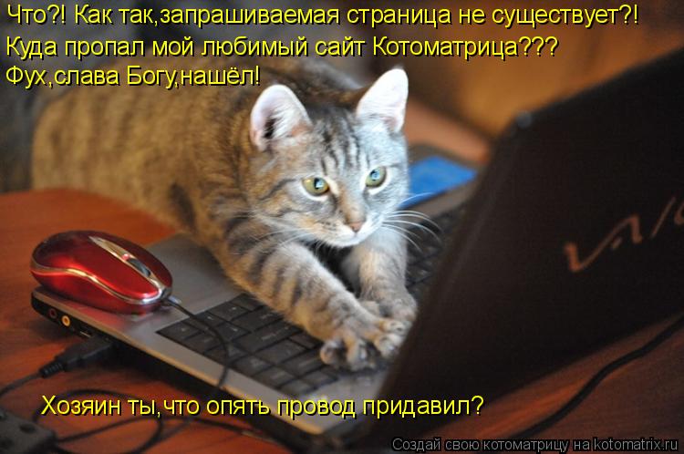 Котоматрица: Что?! Как так,запрашиваемая страница не существует?! Куда пропал мой любимый сайт Котоматрица??? Фух,слава Богу,нашёл! Хозяин ты,что опять про