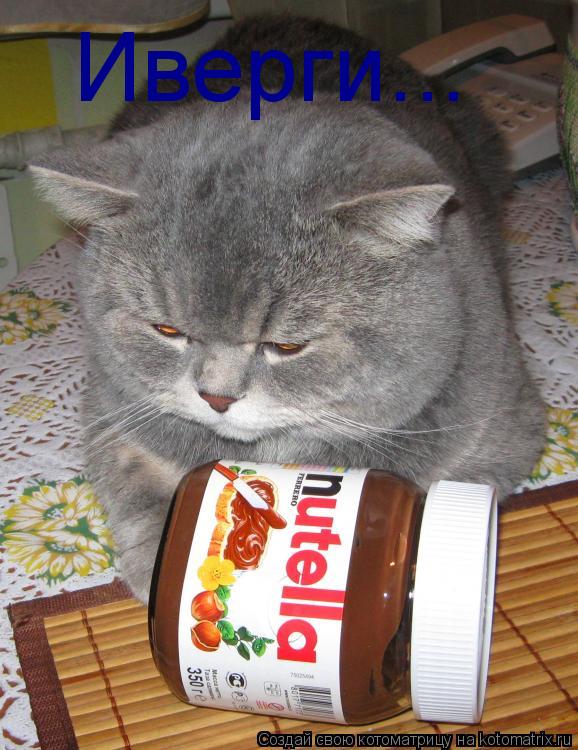 Котоматрица: Иверги...