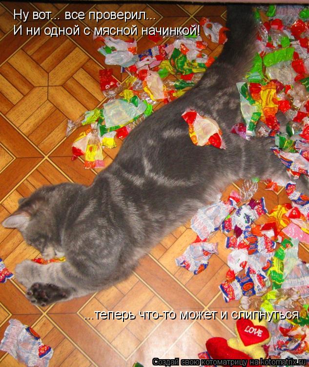 Котоматрица: Ну вот... все проверил... И ни одной с мясной начинкой! ...теперь что-то может и слипнуться