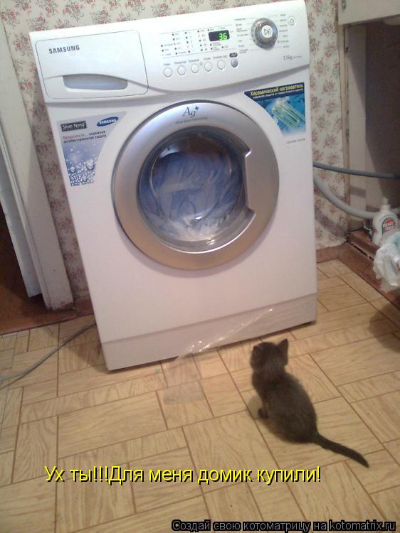Котоматрица: Ух ты!!!Для меня домик купили!